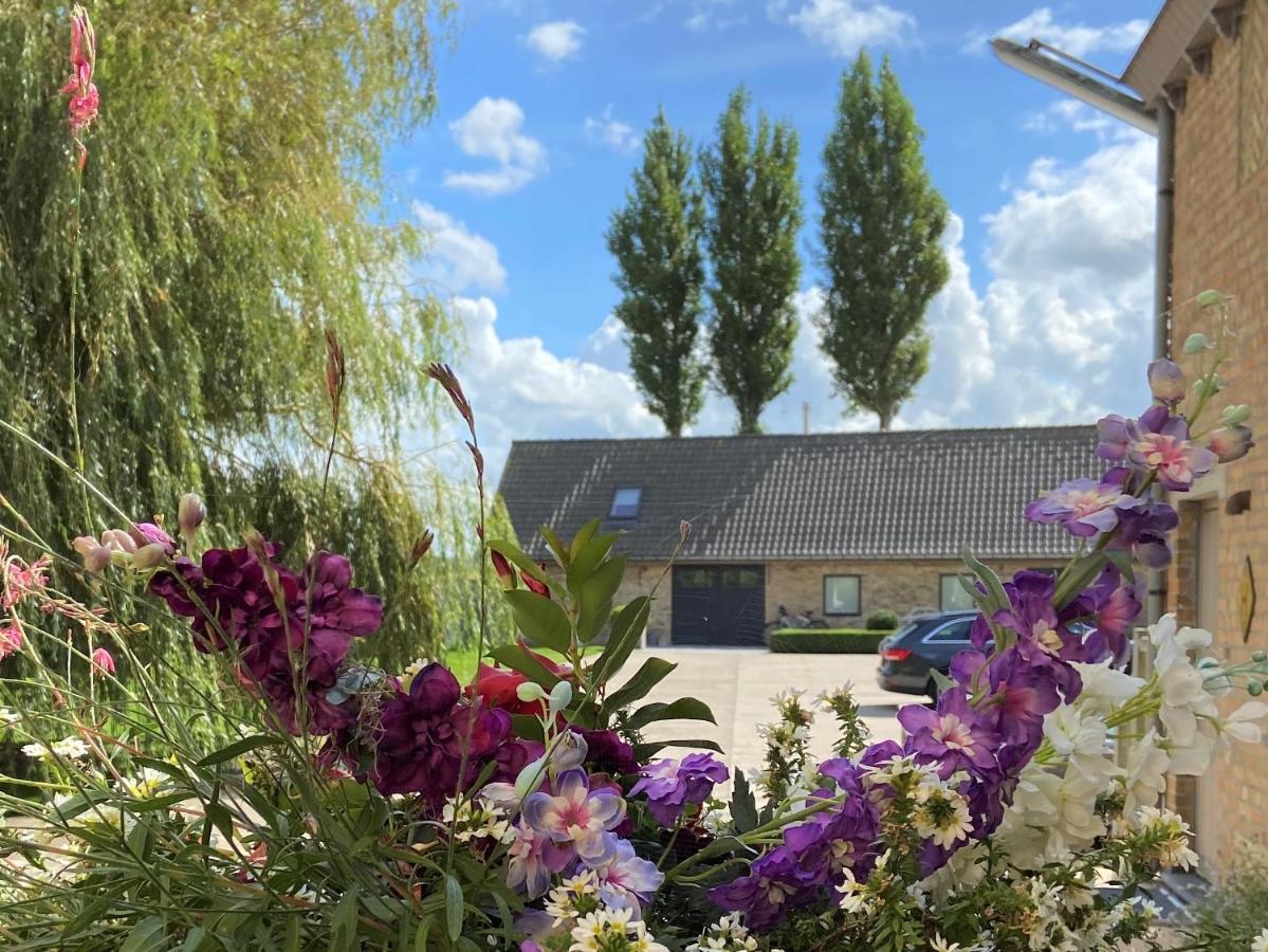 Gastenverblijf 'T Landsheertje Veurne Zewnętrze zdjęcie